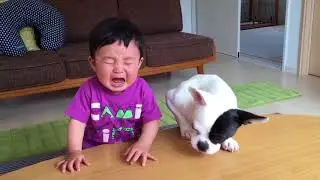 Dog Steals Baby's Cracker