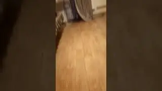 Домашнее порно