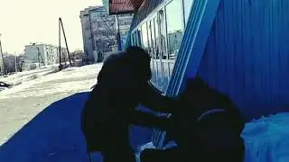 Физ-ра!!!