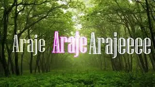 Araje Video Lyrics By Holy Rock Singers Choir-Kigese Church