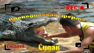 Крокодиловая ферма в Судаке (цены, обзор...)