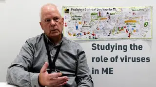 Research studying the role of viruses in ME
