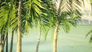 Unreal engine 4.24 render .....  Just trial