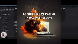 Exporting Raw Plates for VFX and Finishing in DaVinci Resolve - Video Post Production