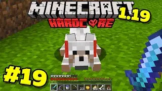 Что случилось с моей собакой в minecraft? Майнкрафт выживание 1.19! Хардкор Без модов! #19