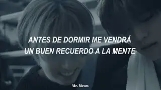 DLC - Stray Kids [ Sub.Español ] MV