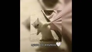 музыка 🎤🎼🎹🎶 для ❤️‍🔥 флешмоба ❤️‍🔥 видео не мое 🛐