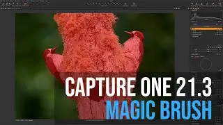 Capture One 21.3 - MAGIC BRUSH