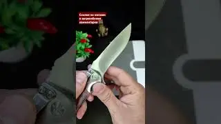 В ТИГРОВОЙ РАСЦВЕТКЕ. НОЖ Steelclaw резервист 