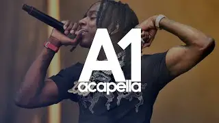 Polo G - Unapologetic ft. NLE Choppa (Acapella - Vocals Only) 160bpm
