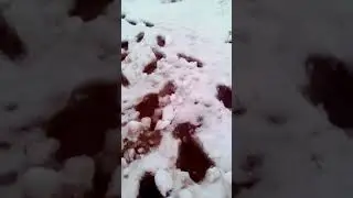 Половодье Любостань