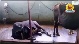 महात्मा गांधी रोजगार गांधी योजना लाभार्थी मनोगत भाग २ | आंबेगाव तालुका