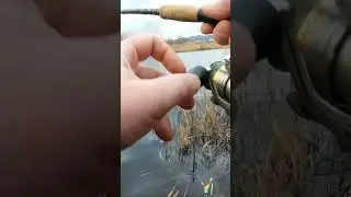 Риболов на щука