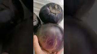 ЖИРНЫЕ баклажаны