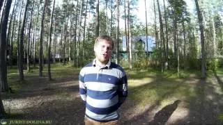 Состав органов правления в СНТ