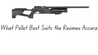 What Pellet best suits the Reximex Accura