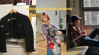 custom пиджака + съемки (eng.sub)