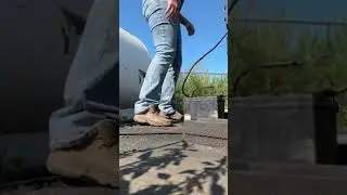 Farm life