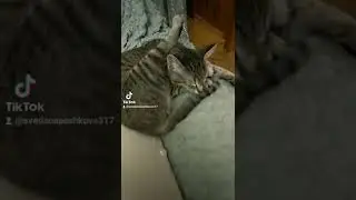 Денежная медитация