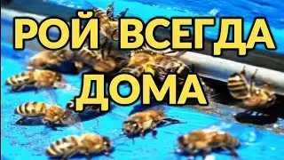 How not to miss the swarm!