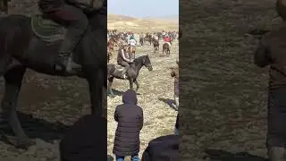 бузкаши шаристон асилбег бо аспи дизел 19 02 23 🇹🇯🇺🇿🇰🇬🇰🇿👍
