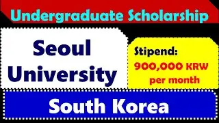 Seoul National University Undergraduate Scholarship
