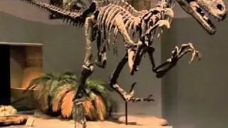 Dinosaur Zodiac December