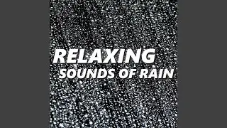 Storm Rain Sounds