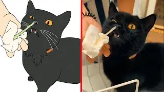 😹Cat Memes but something went wrong😂 | Cats Draw Comics | Meme Cats