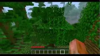 Minecraft Lets Play