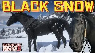 Field Testing The Forbidden Black Snowflake Appaloosa With Arthur,  in Red Dead Redemption 2