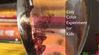 Easy Color Experiment for Kids | Color Diffusion | Kids Science