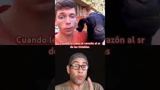 Cuando le robas el corazón #funnyvideo #funnyanimals #funnyshorts