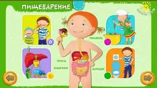 пищеварение