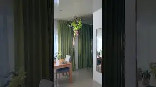 Join The Spider-Verse in After Effects x @asyasiam 