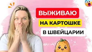Бюджетный обед на семью в Швейцарии