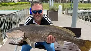 Trofe granyöz avı İzmir körfezi #jewfish #kofana #levrek #balıkavı