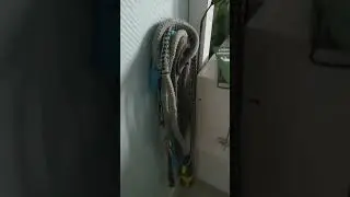 hier das FMA  ich weiß es ist ein bisschen langweilig welche Video Ideen habt ihr noch Video Ideen