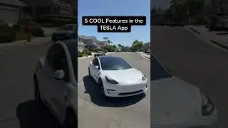 5 Cool Features In The TESLA APP 📲
