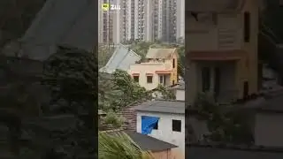 #shortvideo