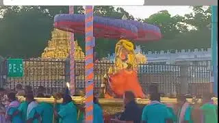 tirumala tirupati Devasthanam temple Garuda Seva