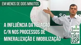 A influência da relação C/N nos processos de mineralização e imobilização
