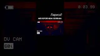 Эээ.. Лариса? Моя версия Мема 