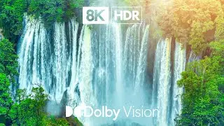 DIVE INTO THE BEST DOLBY VISION™ VIDEO | 8K HDR 60FPS