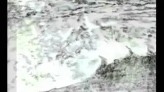 ZORG - Viimne Laine