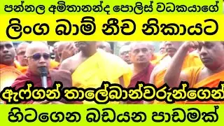 බන්දුවාගේ ලිංගබාම් නීච නිකායට පාඩමක්