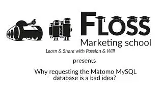 Why making requests to the Matomo database is not a good idea?