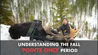 Understanding the Fall 
