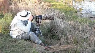 Florida Bird Photography Tour 2012 With Maxis Gamez