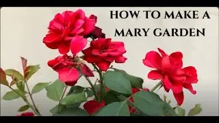 How to Make a Mary Garden 🌸 | A Catholic Space of Prayer & Peace